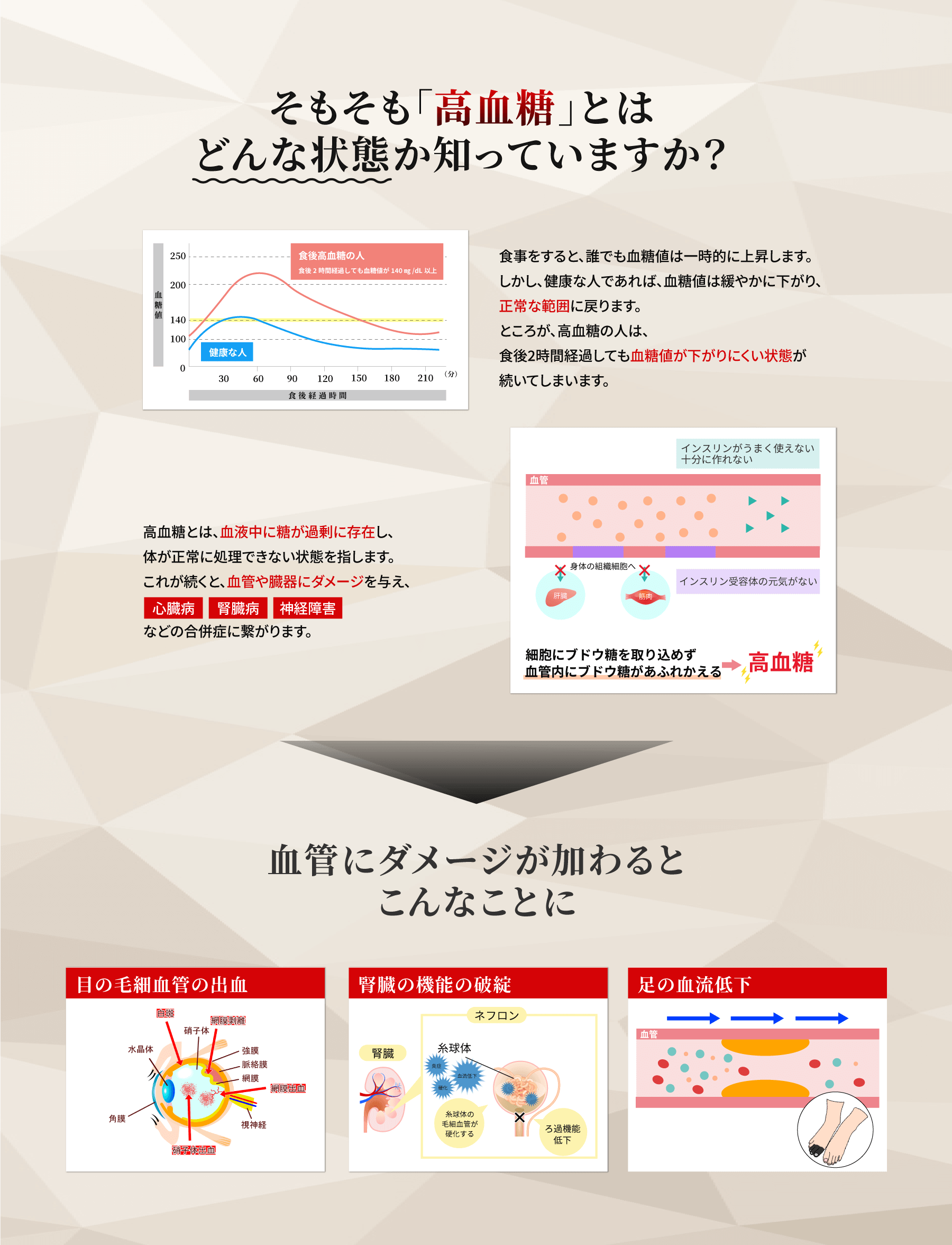 そもそも高血糖とはどんな状態かご存じですか？