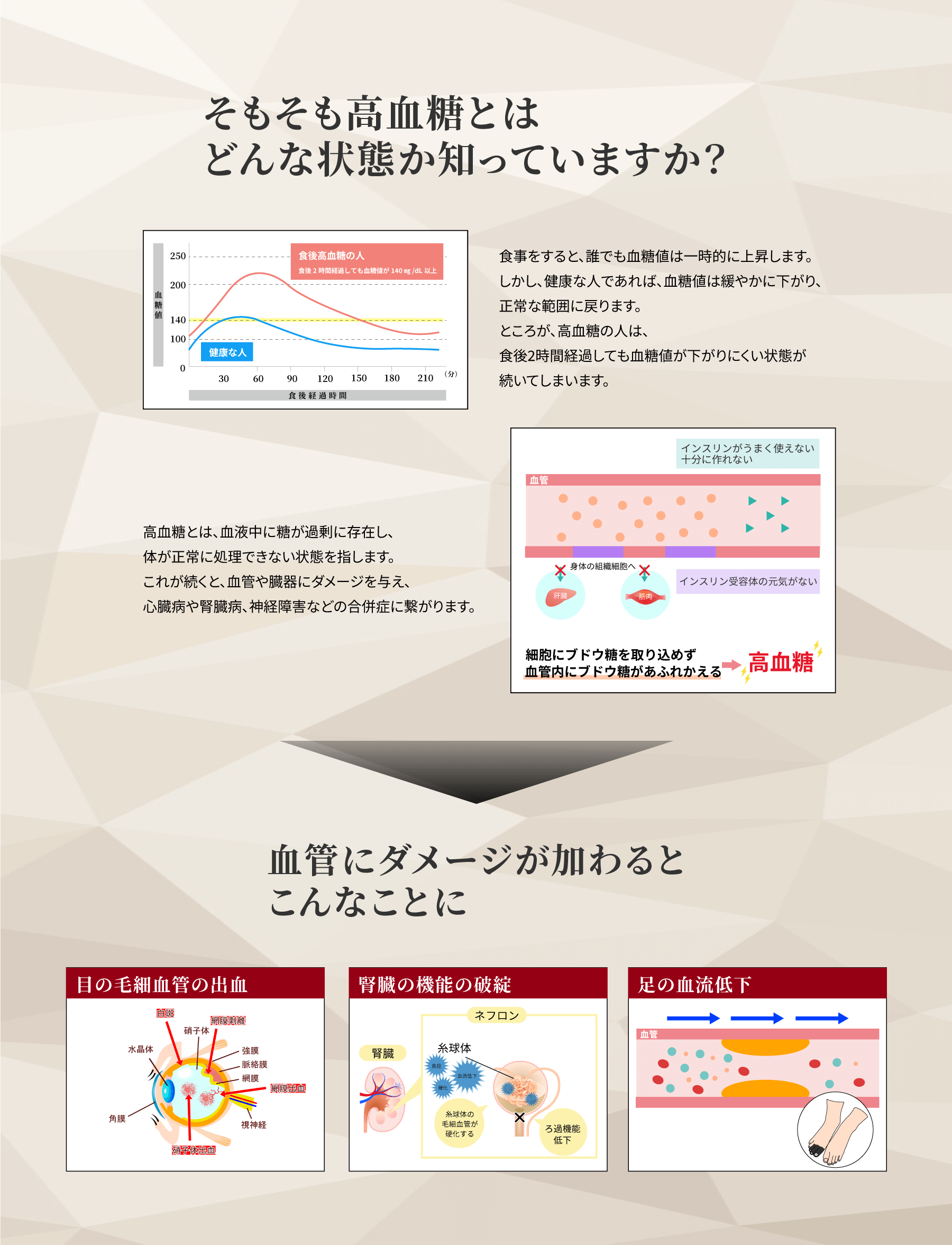 血糖値改善オンライン90日プログラム「スマリハPRO」誕生