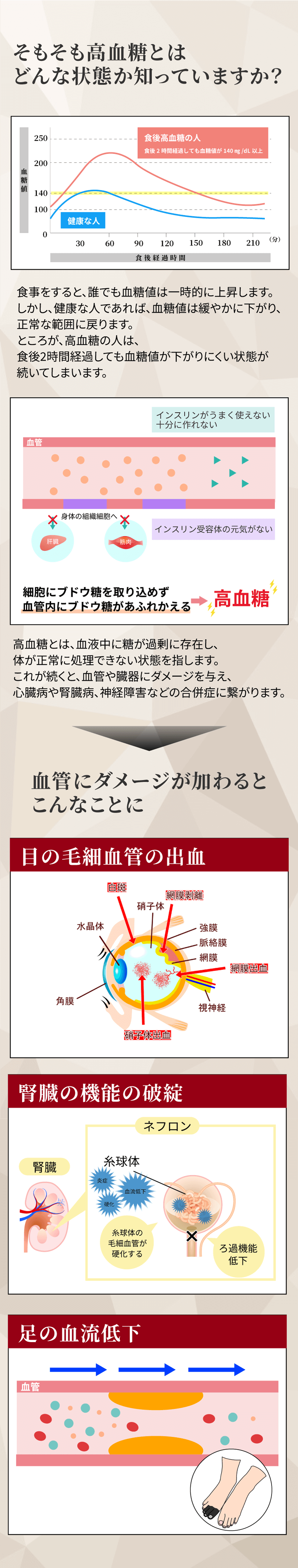 そもそも高血糖とはどんな状態かご存じですか？